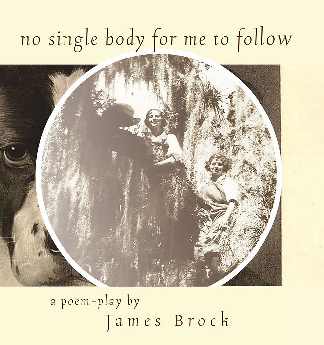 No Single Body For Me To Follow cropped.jpeg