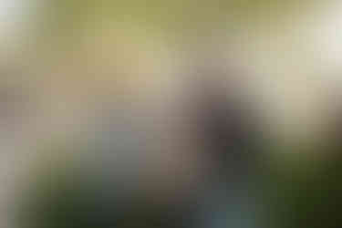 Food for Families 2024 Volunteer Appreciation Day