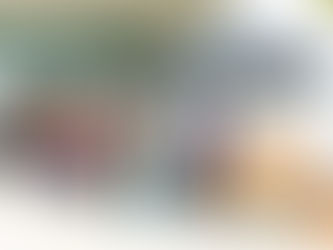 Partnering with the Council on Aging in Union County to Support Seniors