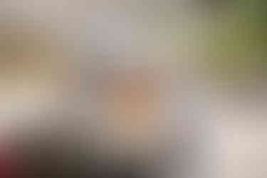 Food for Families 2024 Volunteer Appreciation Day