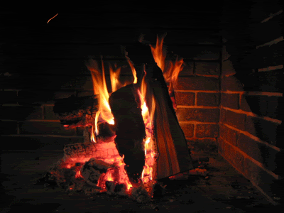 IMG_1855.gif
