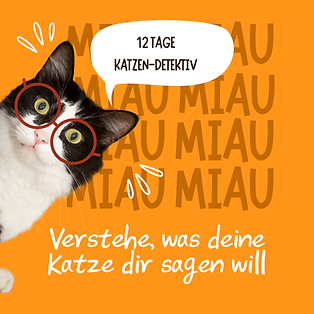 Challenge-Cover-Detektiv.png