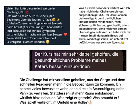 Bildschirmfoto 2026-10-01 um 22.10.10.png