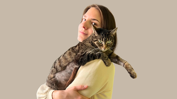 Katze mit kahlgelecktem Bauch