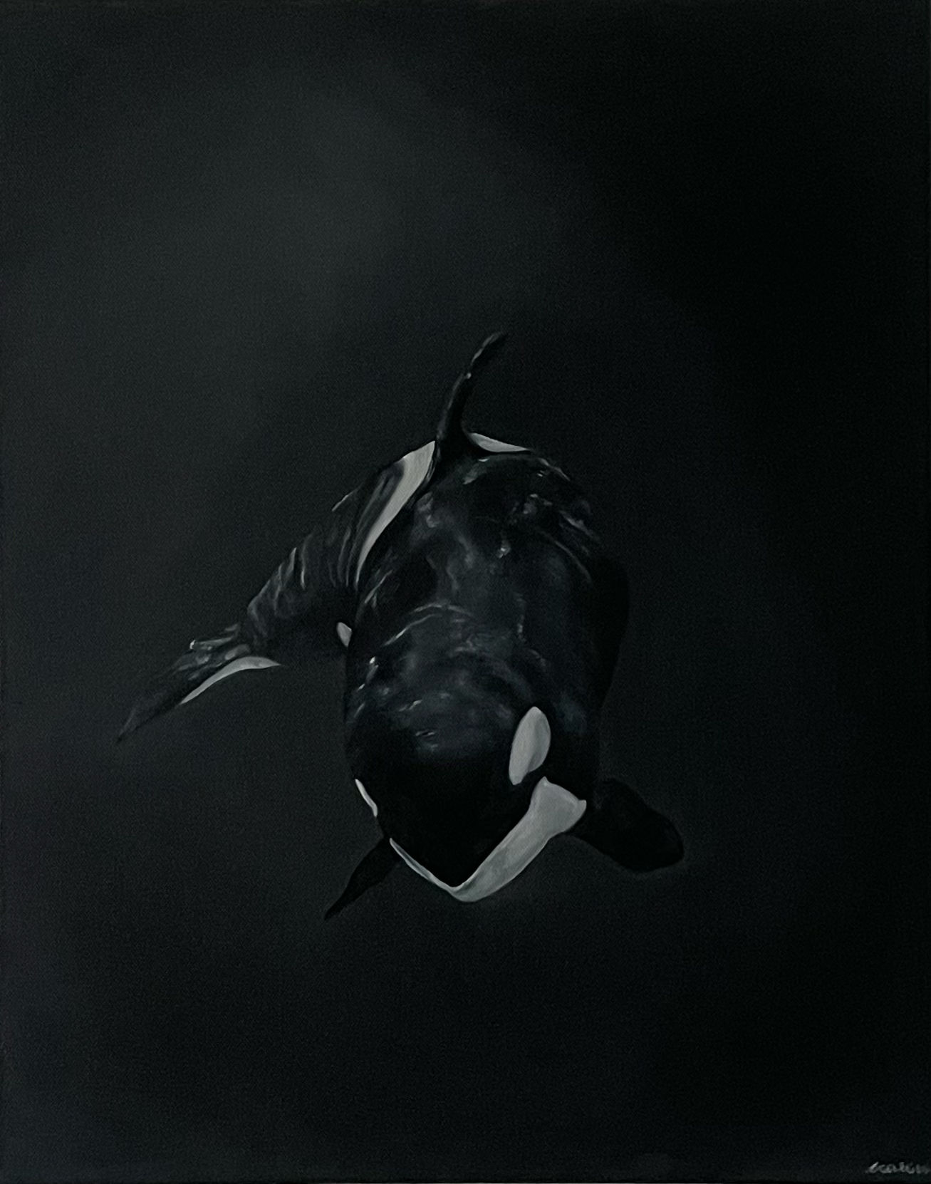 Original Orca Oil Painting