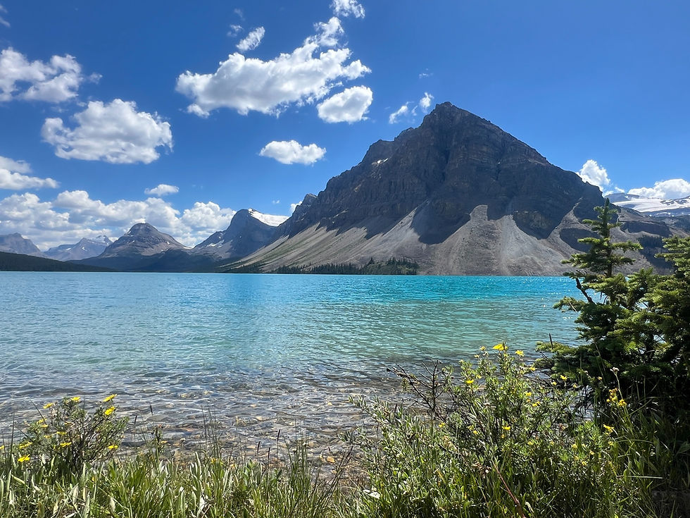 Bow Lake