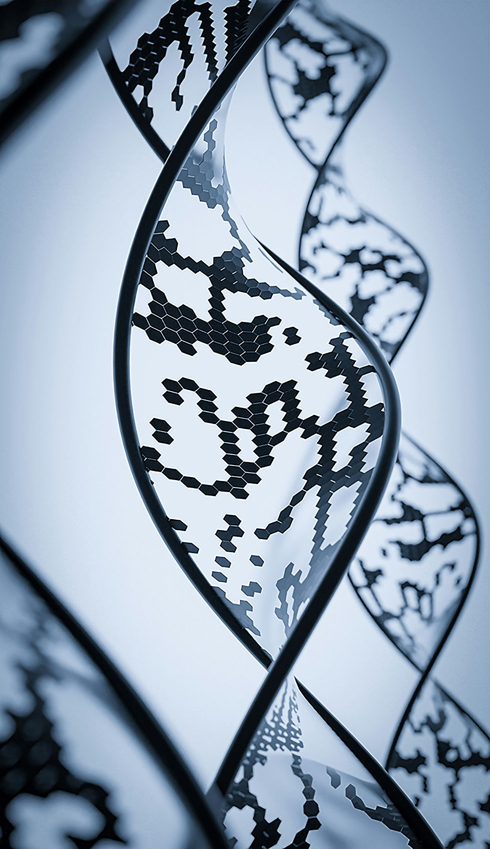3D dsign of DNA strand.
A 3D digital illustration of a DNA double helix with hexagonal data patterns, representing the fusion of genetics, artificial intelligence, bioinformatics, biotechnology, genomics, and data science. This futuristic image symbolizes the role of AI in healthcare, precision medicine, DNA sequencing, and the future of biotechnology.
3D model, DNA, Black DNA, decorative,