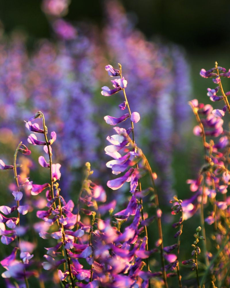 flourishing you  (4).jpg