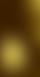 SES