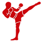 pieds-poings-transparent_edited.png