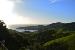 Coromandel - New Zealand
