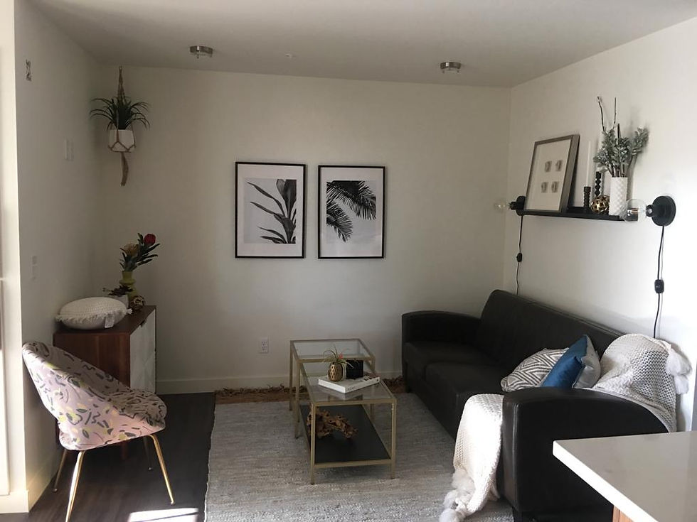 Livinr room 2