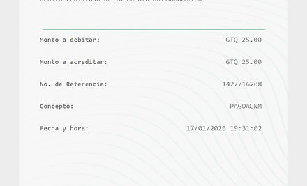 Ejemplo Boleta.jpg