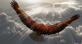 Soaring?