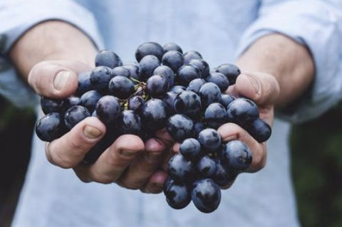 Fruit or weeds?