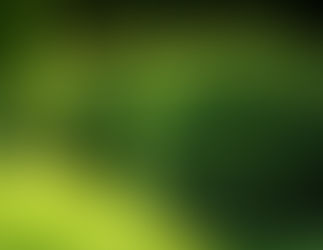 Evergreen?