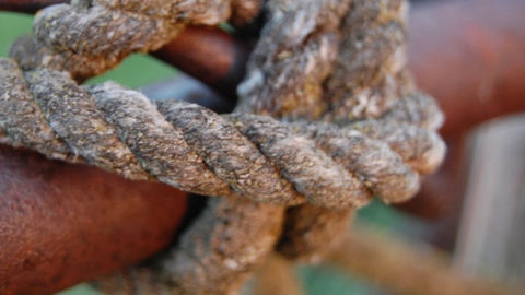 The tie that binds?