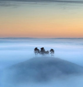 Mists?
