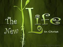 New...new?