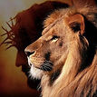 Christ bigger.jpeg
