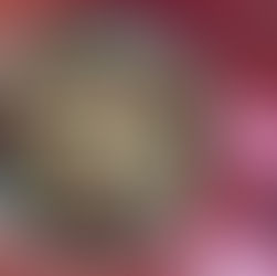 Photo d'un taboulé avec ingredients printaniers