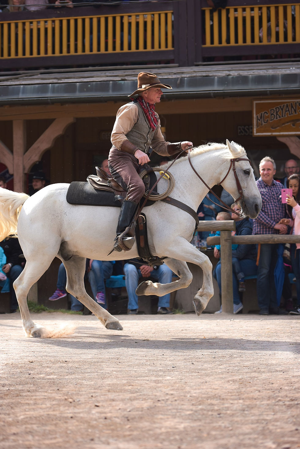 Pullman City Harz Hasselfelde Fotografie Hengst Schimmel
