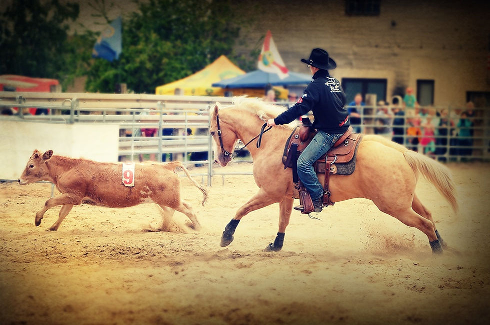 Western Horse Sea Horse Ranch Halle Lettin Cowboy
