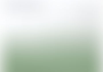 Learn High School History from Your Ancestors