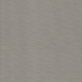 Screens Fabrics in Avellanas