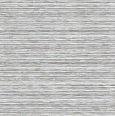 Roller Shades in Avellanas