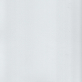 Roller Shades in Langosta