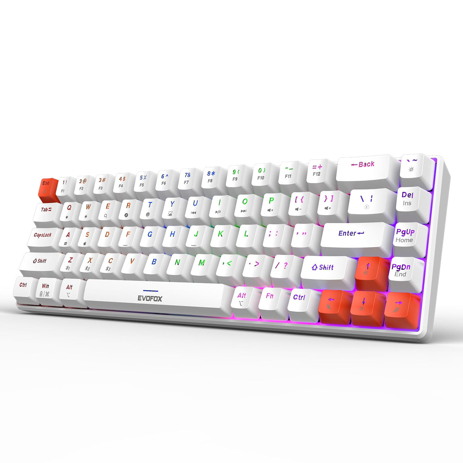 EvoFox Katana S Mini Mechanical Keyboards Wireless | Tri-Mode (3X BT, 2.4GHz & W