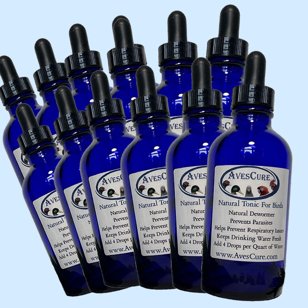 12-Natural Tonics For Birds