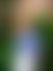 French Stripes in the Summertime