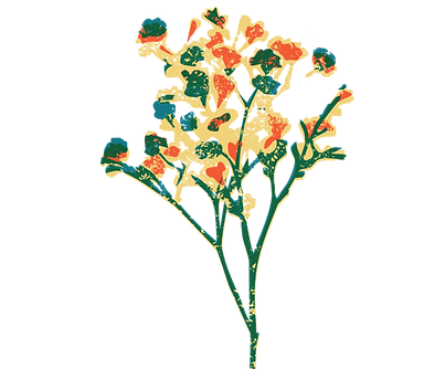 Flower Branch_edited.png