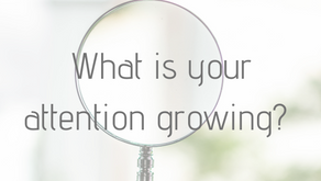 What is your attention growing? 