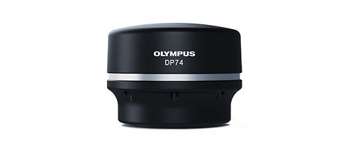 DP74.jpg