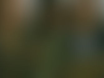 Cuando el algoritmo se convierte en camino: Inteligencia artificial, inclusión y la promesa aún incumplida de la equidad digital