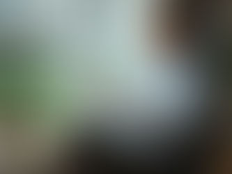 Los buscadores reinventados: ¿puente o cárcel algorítmica?