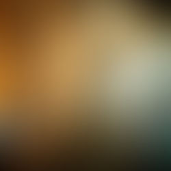 De las colmenas cognitivas a los ecosistemas cognitivos simbióticos