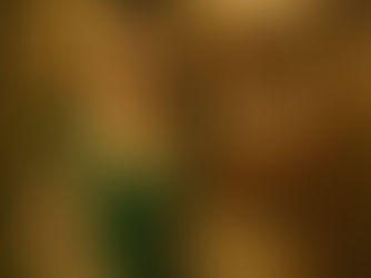 La polémica de la feminidad sureña y la esclavitud en Gone With The Wind