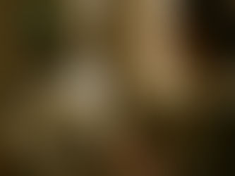 La inteligencia artificial como tecnología de la esperanza: alfabetización, competencias y el rol de la comunicación en un horizonte transdisciplinar