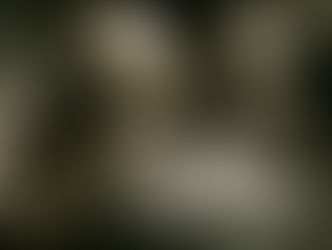 Cuando los bots consumen más que los humanos