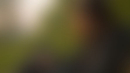 Del storytelling al storyliving: reflexiones hacia una desintoxicación digital