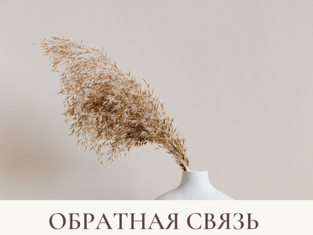 Культура обратной связи