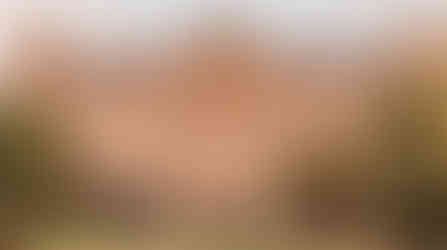 Four Seasons Gresham Palace