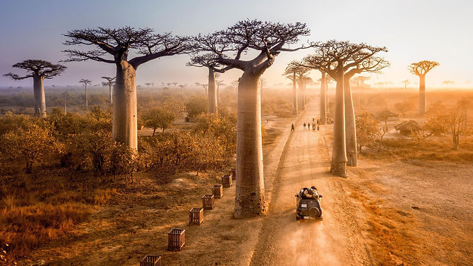 Madagascar Vacations