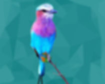 Tessellated Bird