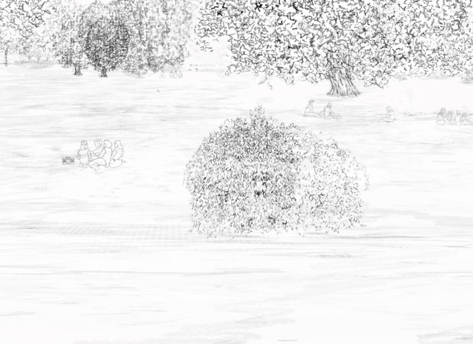 Hide Hole Park buske.jpeg
