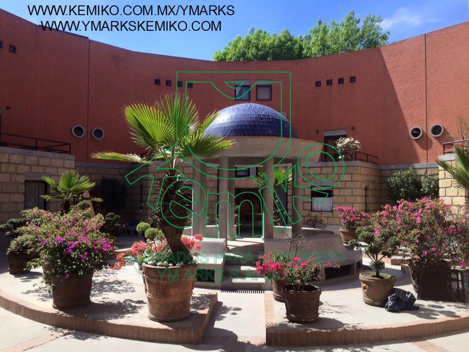 Coyoacan 9